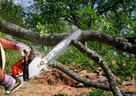 Best Utility Line Clearance  in Milton, PA